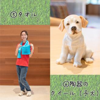 盲導犬 訓練 支援寄附 記念品［陶器のクイール（子犬）※欠品時は代替品の盲導犬のぬいぐるみ・タオル・エコバッグ など盲導犬協会オリジナルグッズ］補助犬 (50,000円)