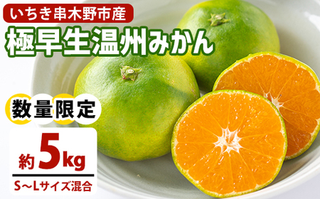 ＜先行予約・ 数量限定＞ 極早生 温州みかん 5kg 箱満杯バラ詰め！S～Lサイズ 【A-1982H】