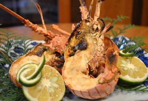 【冷凍】 天然 伊勢海老 1.5kg（2～5尾） 黒潮町 ［1084］