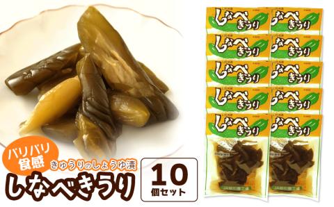 しなべきうり（110g）×10個セット　庄内観光物産館