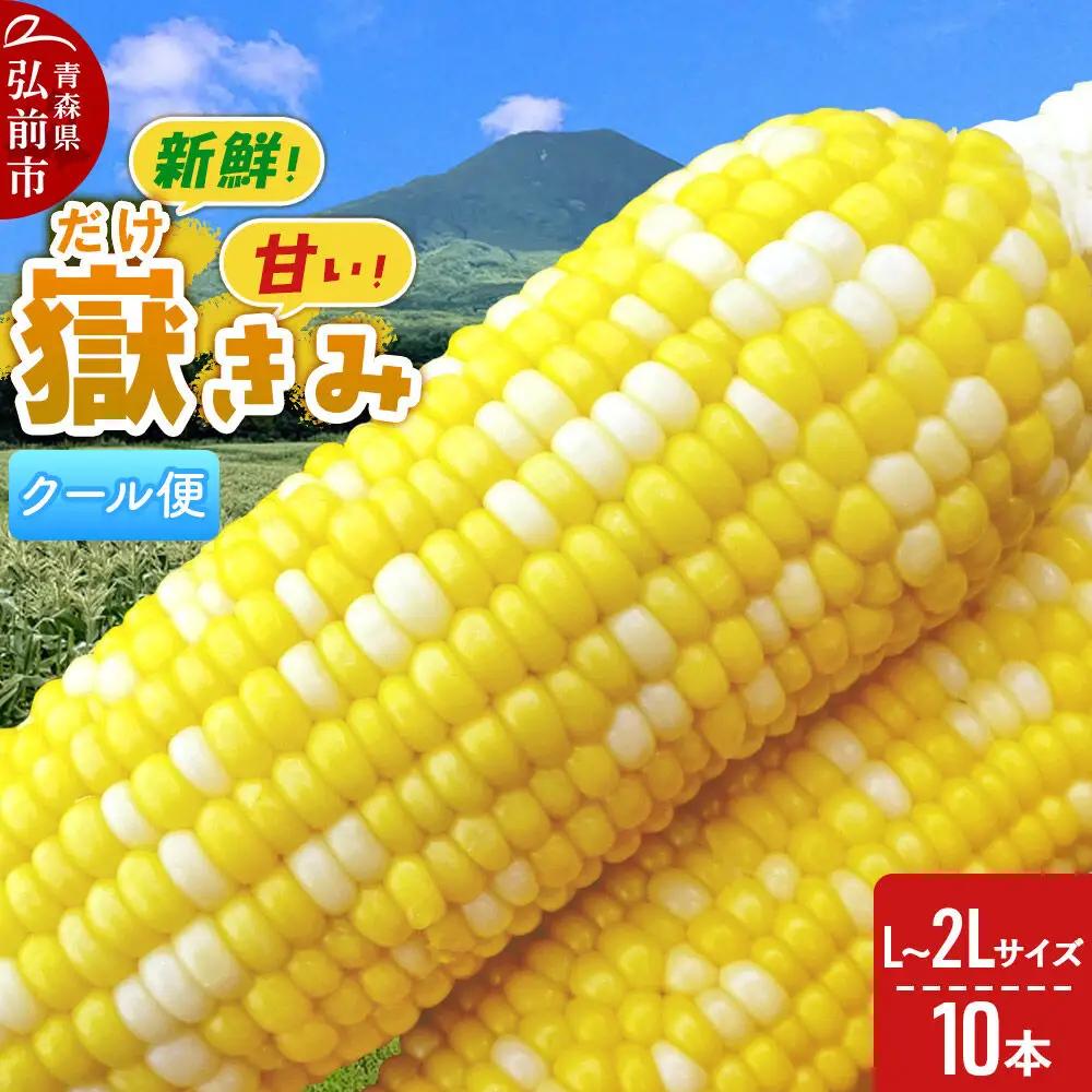 【26年8月下旬～クール便発送】とうもろこし 嶽きみ【先行受付】L～2Lサイズ 10本 しらかみラボ