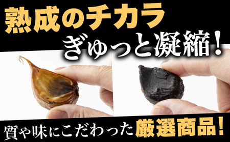 ⿊にんにく 500g×2パック 【国産 にんにく 新鮮 野菜 長期保存 健康 贈り物 ギフト 東北 青森県 七戸町 送料無料】【02402-0387】