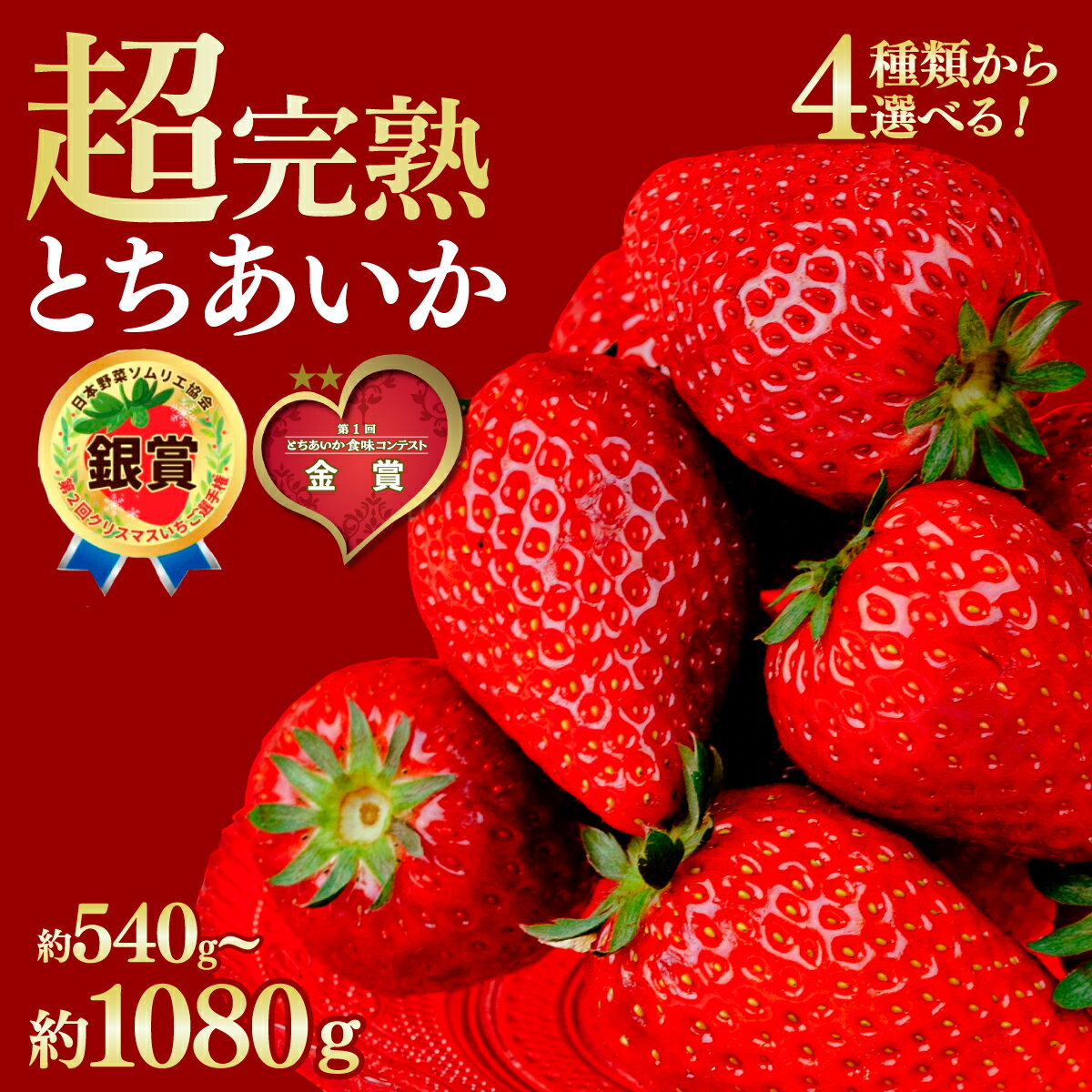 【ふるさと納税】＜2026年先行予約＞いちご 鈴木ファームの完熟＆朝採り とちあいか 540g 1080g 選べる発送月＆内容量 | いちご イチゴ 苺 とちあいか 完熟 甘い あまい 果物 フルーツ くだもの 旬 産地直送 栃木県産 鈴木ファーム 栃木県 茂木町