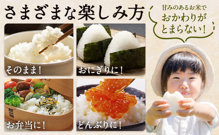令和7年産 米 お米 こめ ふくどみさんちのお米 ひのひかり 2kg 熊本県産 御船町《30日以内に出荷予定(土日祝除く)》熊本県 御船町 コメ おこめ 熊本 御船 御船 白米 ごはん ヒノヒカリ
