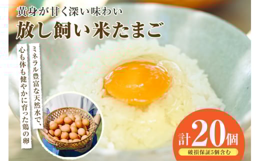 放し飼い米たまご15個+5個保証（計20個）