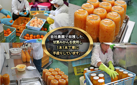 甘夏みかんビン詰め　小瓶2本セット（500g×2本セット）