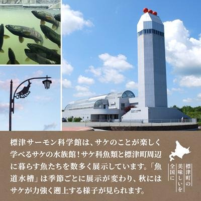 ふるさと納税 標津町 標津サーモン科学館グッズセットA　エコバッグ ポストカード ボールペン 付箋 キーホルダー |  | 02