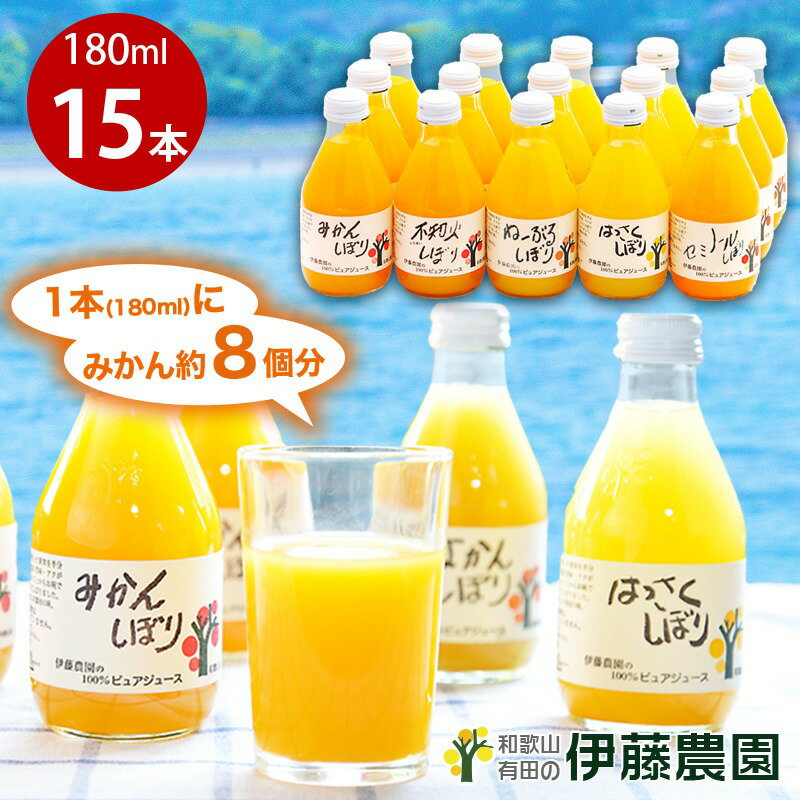 伊藤農園 100%ピュアジュース15本おまかせセット