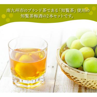 ふるさと納税 南九州市 「上等梅酒知覧茶」720ml×2本 |  | 01