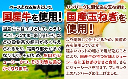 ハンバーグ 10個 国産のお肉使用！ 鶏肉不使用 温めるだけ 「通の贅沢ハンバーグ」3種ソース食べ比べ《7-14日以内に出荷予定(土日祝除く)》 牛 訳あり 小分け 