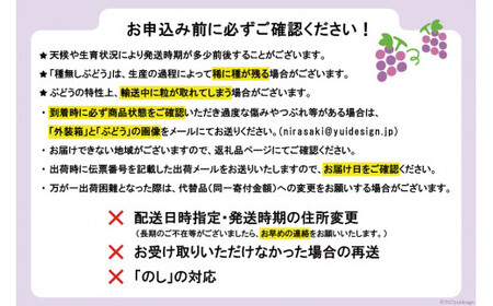 【先行受付】訳あり 山梨県産 シャインマスカット 粒にてお届け 約1kg [斎庵 山梨県 韮崎市 20742297] 果物 フルーツ 山梨 ぶどう マスカット ブドウ 葡萄 家庭用 規格外 期間限定 
