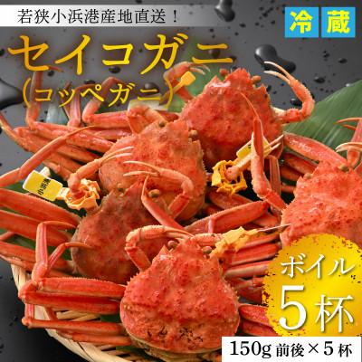 ふるさと納税 小浜市 【先行予約】加福鮮魚「若狭小浜港産地直送」　セイコガニ(コッペガニ)ボイル5杯