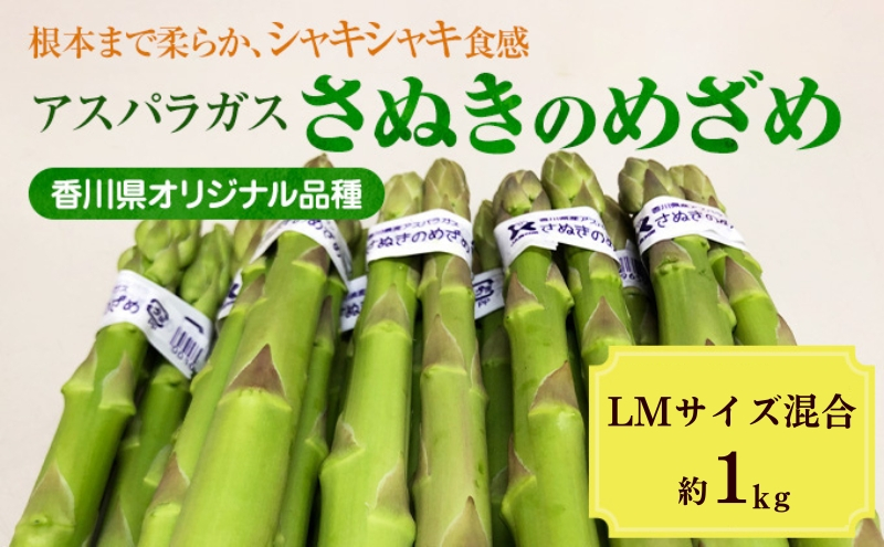 
                  [№4631-2656]アスパラガス【さぬきのめざめ】約1kg　LM混合
                