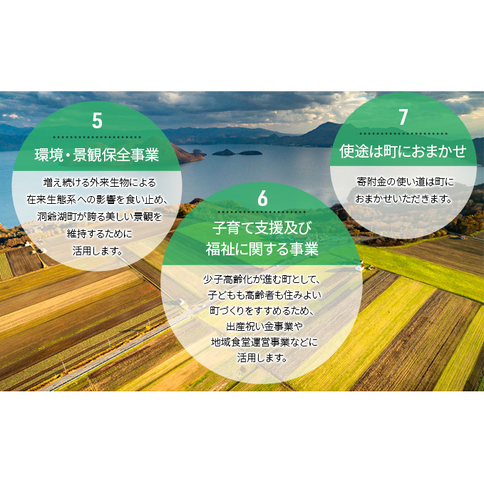 洞爺湖町 寄附のみの応援受付 5,000円コース（返礼品なし 寄附のみ 5,000円）_イメージ5