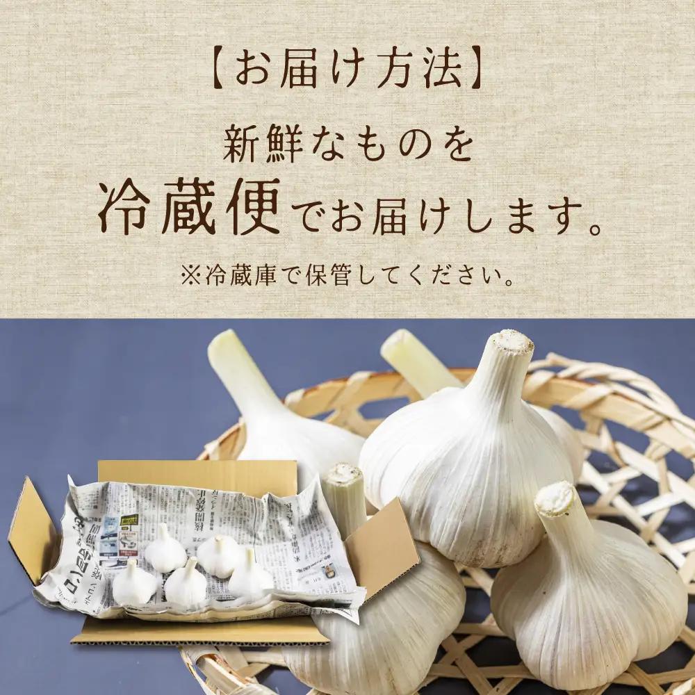 飛騨産生にんにく 300g 水村農園 にんにく