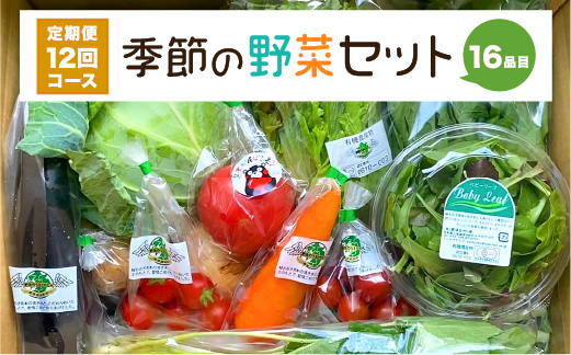 【定期便12回】 季節の野菜セット 16品目_イメージ1