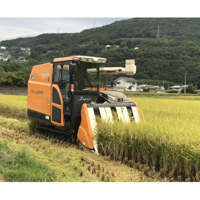 ふるさと納税 美馬市 令和7年産　美馬市コシヒカリ精米5kg |  | 01