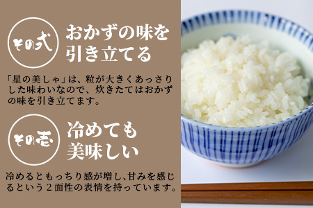 【日本一早い新米】3カ月連続お届け 令和５年産 石垣島産 星の美しゃ（ほしのかいしゃ）15kg（5kg×3袋）【産地直送 沖縄県 石垣市 石垣島 米】MK-6