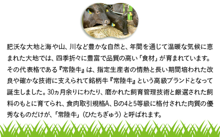 ビーフカレー 200g×6パック 茨城県産 黒毛和牛  常陸牛【トキワフーズ】206
