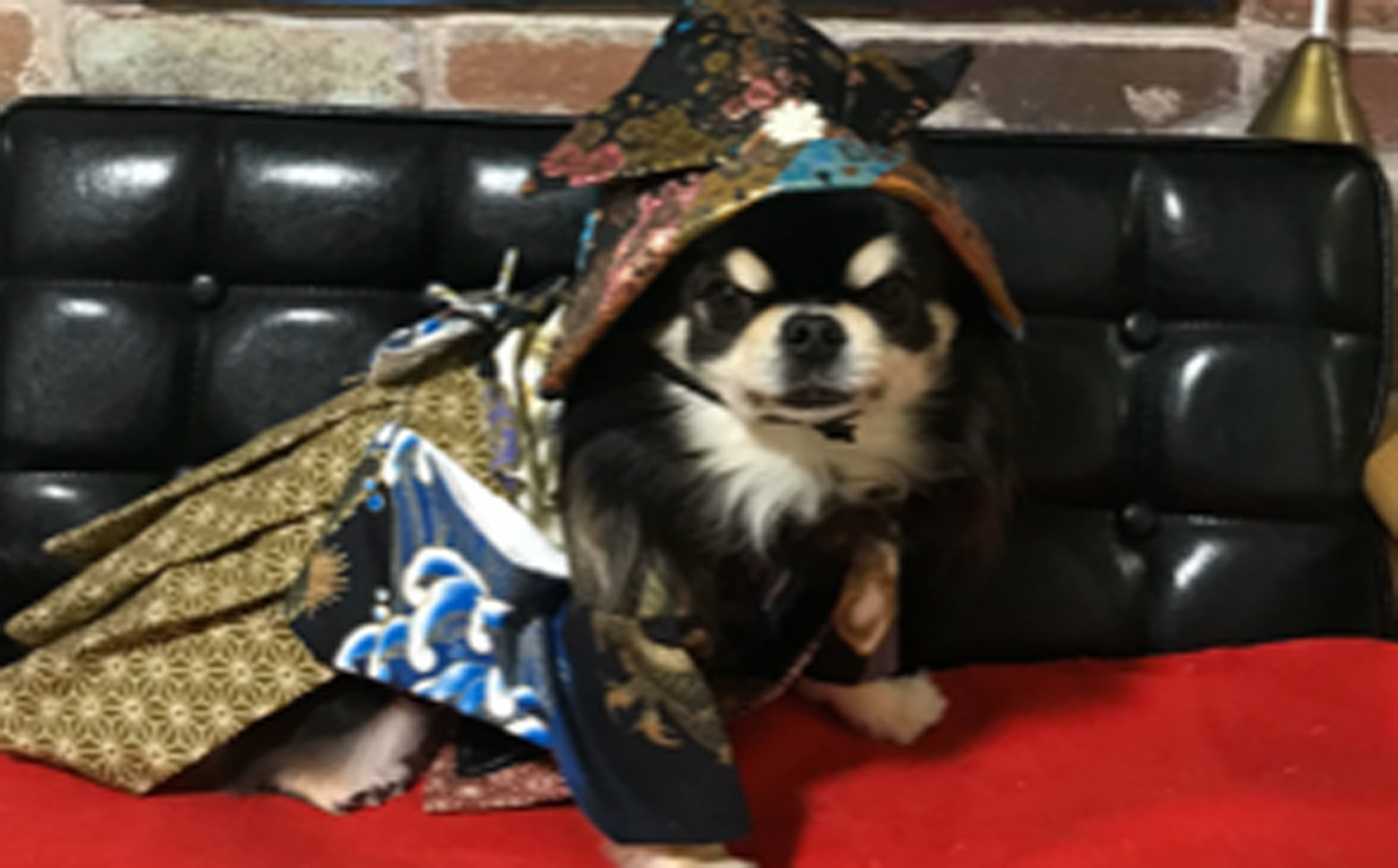 写真はイメージです。※セット内容に含まれていない飾りはついておりません。