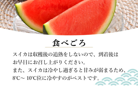 【先行予約】シャリシャリ甘いっ！ 甘い東尋坊黒皮種無しスイカ 6～10kg × 1玉 【2024年7月上旬以降順次発送予定】【スイカ 西瓜 フルーツ 果物 国産 お中元 内祝い お祝い】 [A-102