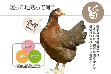 熊ヤン媛っこ地鶏のBBQセット