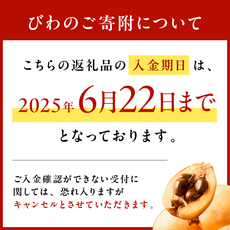 房州びわ 露地2Lサイズ以上 12個（化粧箱入） 果物 枇杷 房州びわ フルーツ 国産 甘味 酸味