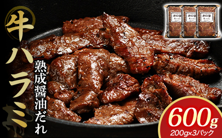 ハラミ 旨みたっぷり牛ハラミ 600g D0500