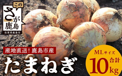 【先行予約】鹿島市産　玉ねぎ　10kg（MLサイズ）農家直送　５月以降発送予定　B-736