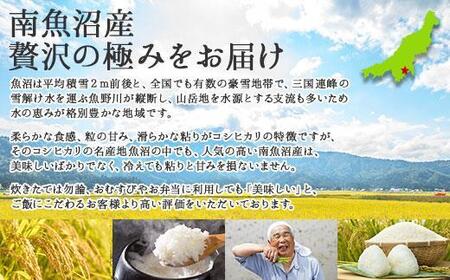 【令和7年産】 【無地のし】新潟県 南魚沼産 コシヒカリ お米 5kg×2袋 計10kg 精米済み（お米の美味しい炊き方ガイド付き）【2025年10月中旬より順次発送予定】