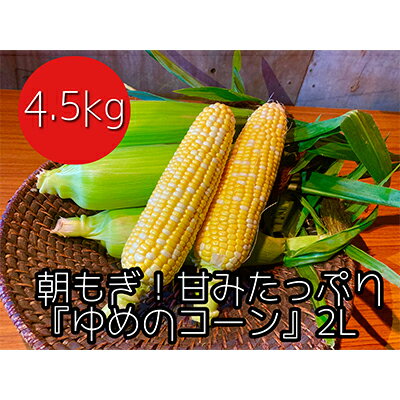 【ふるさと納税】【令和7年産】農家直送！朝もぎスイートコーン『ゆめのコーン』2L 10～12本（4.5kg） 野菜 とうもろこし フルーツコーン 　お届け：2026年8月16日～2026年9月10日