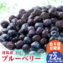 【先行予約】【ふるさと納税】【全6回定期便】大容量 対馬産 ブルーベリー （ 冷凍 ） 1.2kg【2025年7月上旬以降順次発送】【 さほの里ファーム 】《 対馬市 》 離島 対馬 有機肥料 旬 果物 フルーツ[WBG003] 73000 73000円