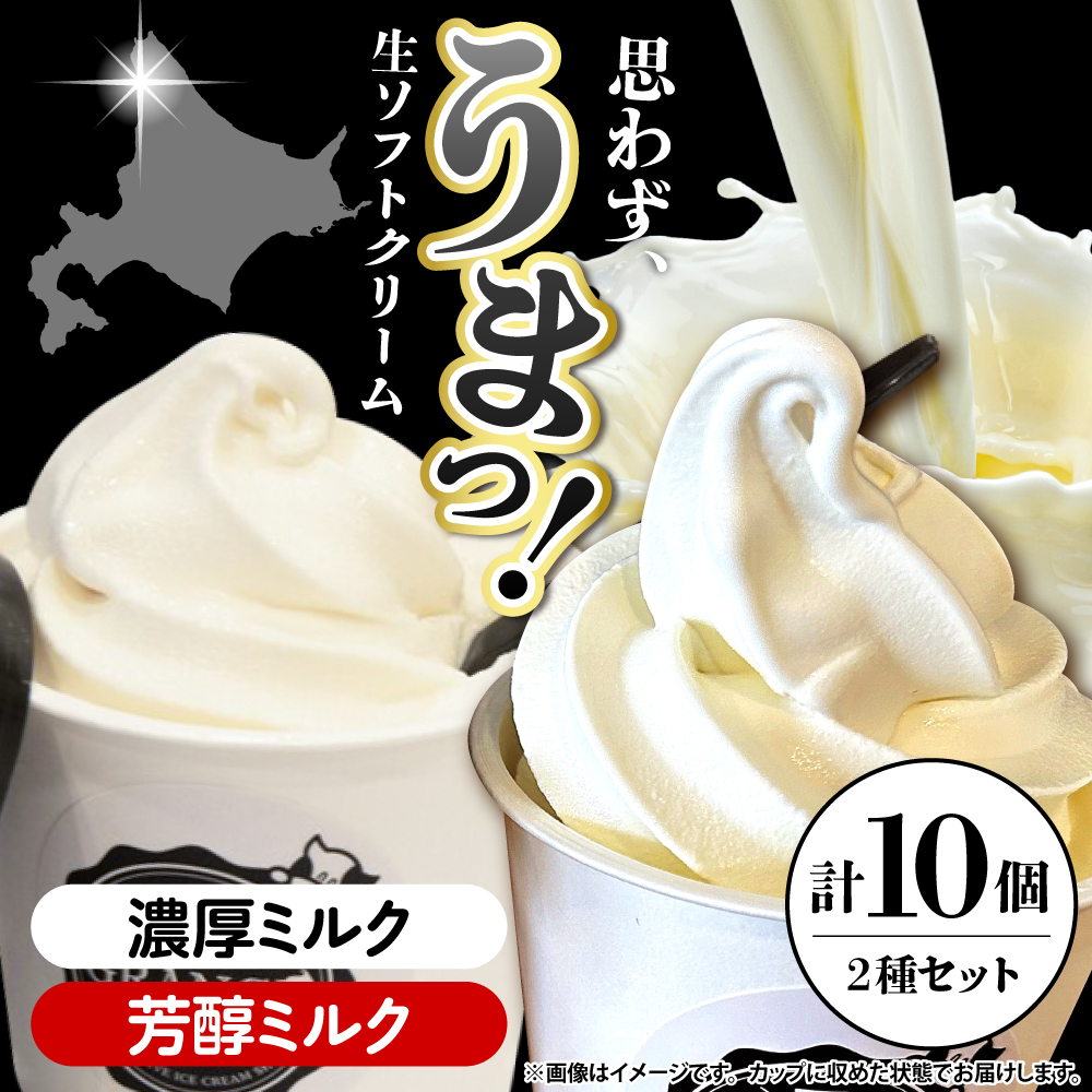 生ソフトクリーム【濃厚ミルク／芳醇ミルク】 計10個