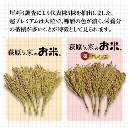 令和7年産　荻原くん家のお米超プレミアム(白米) 2kg_ 精米 米    コシヒカリ 米 こしひかり_【1619426】