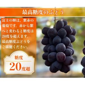 【2026年先行予約】サンシャインレッド 富士の輝 シャインマスカット 2kg 3房(各1房)【配送不可地域：離島】【1694811】