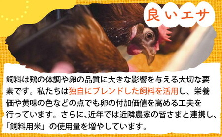 【TVで紹介】【6回定期便】卵 霧の卵 120個 定期便【北海道・沖縄・離島配送不可】