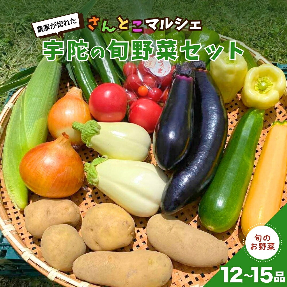 【ふるさと納税】農家が惚れた「さんとこマルシェ」旬野菜セット（12-15品） / サムズアップ農園 農家 さんとこマルシェ ふるさと納税 送料無料 ベジタリアン 野菜セット 旬の野菜 詰め合わせ 奈良県 宇陀