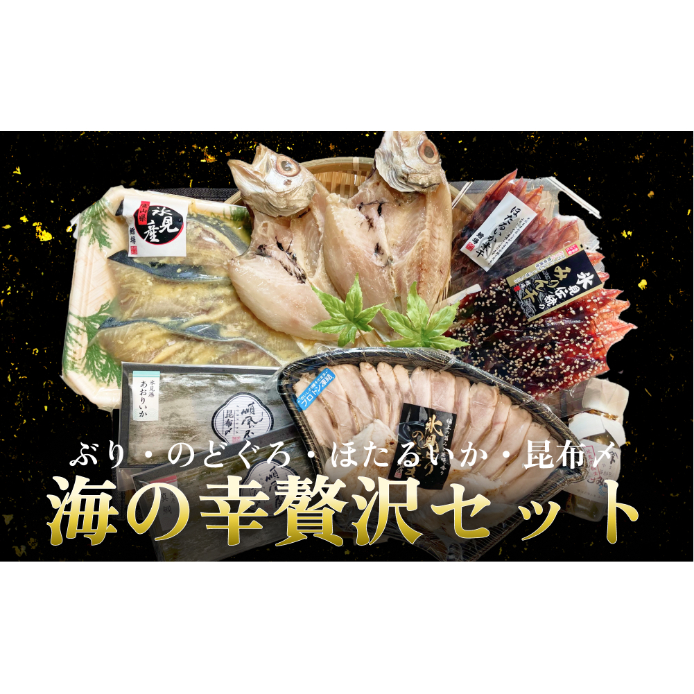 氷見ぶり・のどぐろ・ほたるいか・昆布〆お刺身　鱈場おすすめ海の幸贅沢セット 富山県 氷見市 ノドグロ ホタルイカ ブリ 冷凍魚介 詰め合わせ