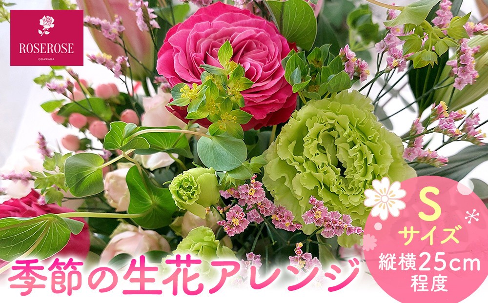 
            季節の生花アレンジ　Sサイズ 【 フラワー アレンジメント お花 ギフト プレゼント 贈り物 誕生日 お祝い 神奈川県 小田原市 】
          