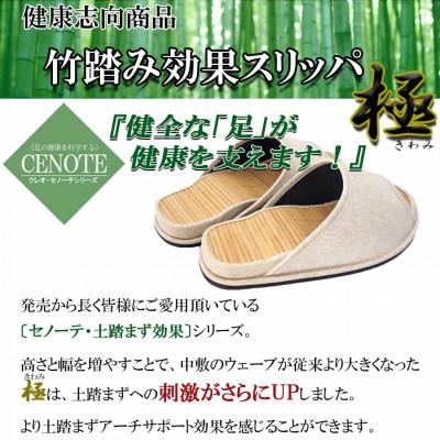 ふるさと納税 宮城県 スリッパ Dセノーテロゼッタ極 Lサイズ ベージュ |  | 01