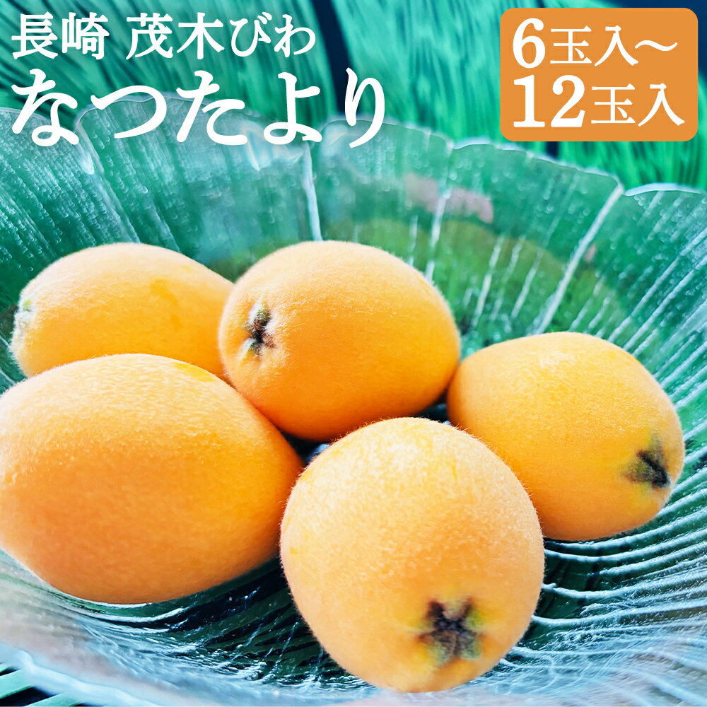 【ふるさと納税】長崎 茂木びわ なつたより 2L(12玉)/3L(8玉)/4L・5L混合(6玉) 選べる内容量 びわ 果物 フルーツ 枇杷 ギフト 贈り物 長崎市産 長崎県産 九州産 送料無料