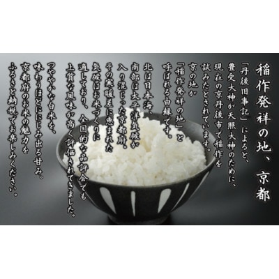 【期間限定】令和7年産 米 ひとめぼれ 5kg 京都府久御山町