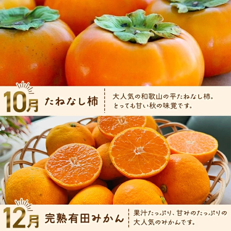 わかやま 旬の フルーツ 定期便 【L】全4回 / 有田みかん まりひめ いちご 桃 柿 ※北海道・沖縄・離島への配送不可【ard-tkb911】