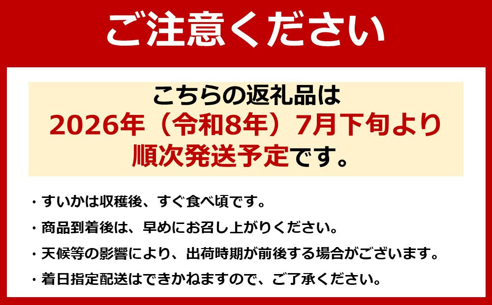 【先行予約】【新潟県 南魚沼産】八色原すいか大玉１玉【西瓜 スイカ すいか 大玉 季節限定 果物 フルーツ ギフト 名産地 産地直送 シャキシャキ 厳選 デザート 新潟県】【2026年7月下旬発送】【