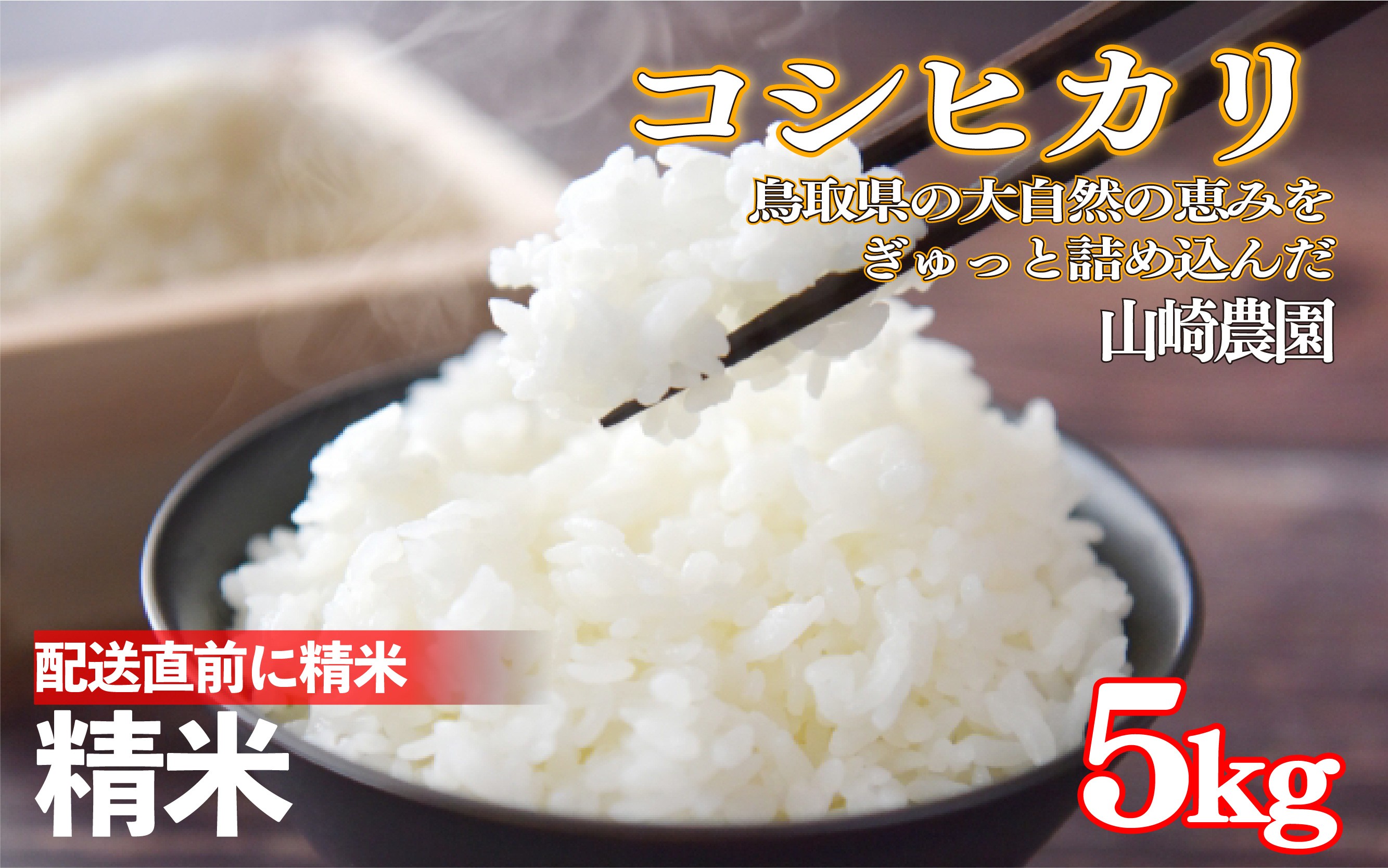 
                  令和7年産 山崎さんのこしひかり精米5㎏｜鳥取県産 令和7年 2025年産 お米 コシヒカリ 精米 山崎農園 やまのおかげ屋【31040】
                