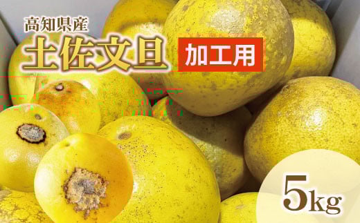 
            【訳あり】土佐文旦（ぶんたん）加工用（M～５Ｌ混合）約５ｋｇ【株式会社とさもん（土佐市）厳選】 文旦 5キロ 約8~15玉 ぶんたん ブンタン 柑橘 果物 フルーツ お取り寄せ おいしい 訳あり 傷
          