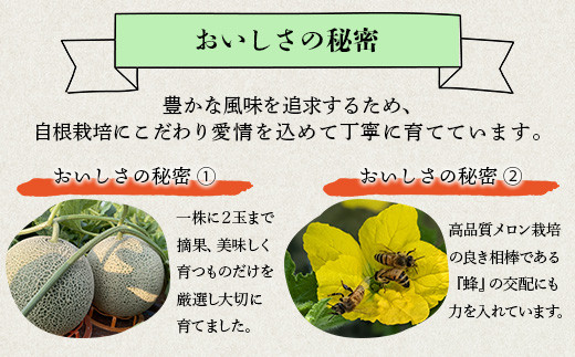 【2026年6月上旬〜順次発送 先行予約】大玉 肥後グリーンメロン 2玉 約4.6kg以上 熊本県産【 果物 フルーツ グリーンメロン 先行予約 4.6kg 青肉 期間限定 数量限定 熊本県 多良木町