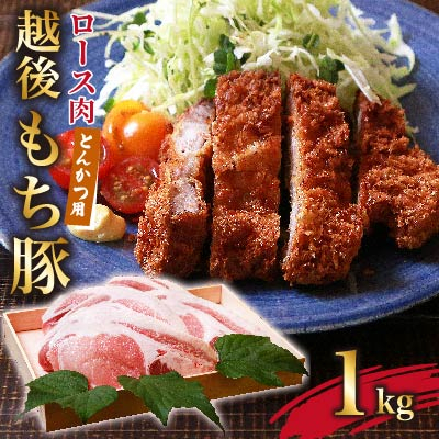 
            サクッと肉厚!越後もち豚とんかつ用1kg　絶品の食感【1117858】
          