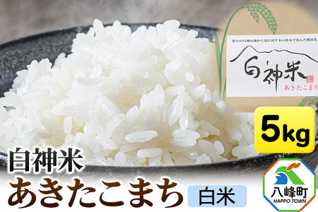 白神米 あきたこまち 秋田県産 5kg【白米】令和6年産