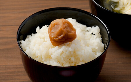 ＜新米先行受付＞【令和6年産】秋田県特別栽培米あきたこまち「あいがも米」5kg×1袋 50P9024